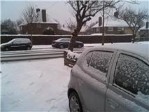 My Front Garden - Twitter.com/PriyaMulji . PriyaMulji.Wordpress.com