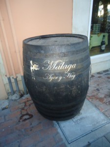 Malaga - Priya Mulji