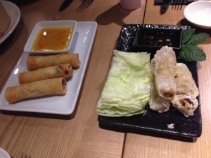 Vegetable spring rolls & vietnamese paper rolls