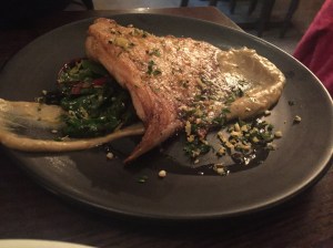 Opera Tavern - Skate Wing