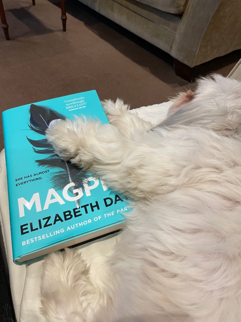 magpie - Elizabeth day